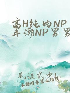 高H纯肉NP 弄潮NP男男