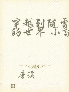 穿越到随处做 的世界 小说