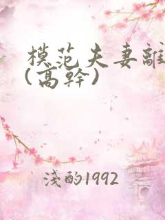 模范夫妻离婚了(高干)