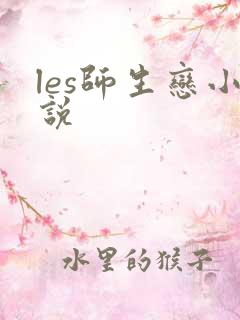 les师生恋小说