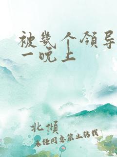 被几个领导玩弄一晚上