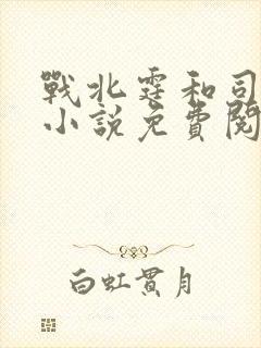 战北霆和司情的小说免费阅读