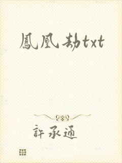 凤凰劫txt