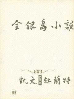 金银岛小说