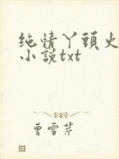 纯情丫头火辣辣小说txt
