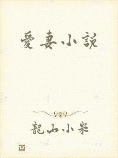 爱妻小说