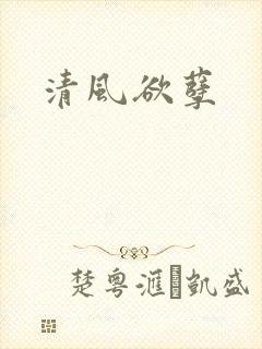 清风欲孽
