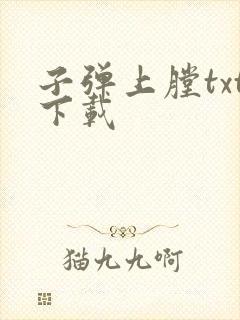 子弹上膛txt下载