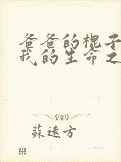 爸爸的棍子顶着我的生命之苏苗