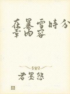 在暴雪时分54章内容