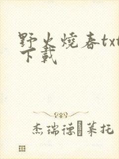 野火烧春txt下载