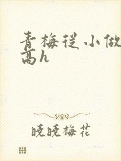 青梅从小做到大高h