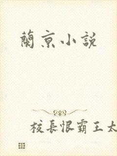兰京小说