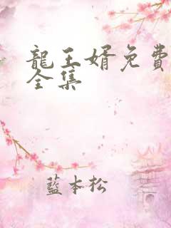 龙王婿免费完结全集