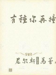 有种你再撞一下