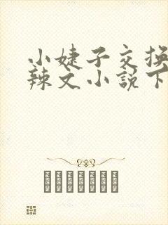 小婕子交换系列辣文小说下载