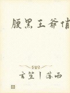 腹黑王爷俏医妃