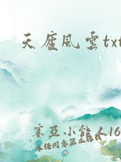 天庐风云txt