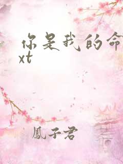 你是我的命运txt