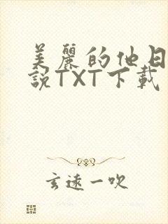 美丽的他日剧小说TXT下载
