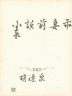 小说前妻乖乖回来