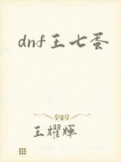 dnf王七蛋