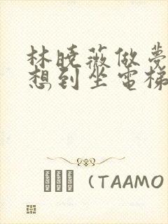 林晓薇做梦也没想到坐电梯到小区物业