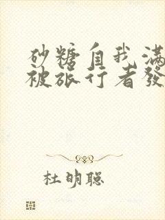 砂糖自我满足时被旅行者发现小说