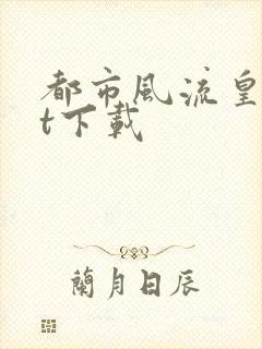 都市风流皇txt下载