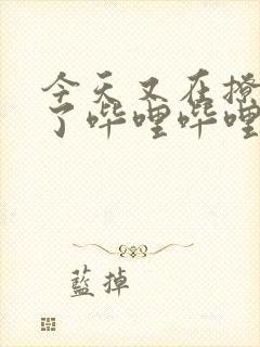 今天又在撩后妈了哔哩哔哩小说