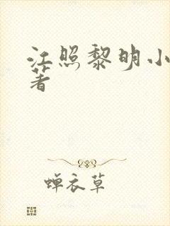 江照黎明小说原著