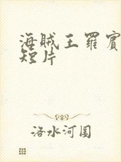 海贼王罗宾被h短片