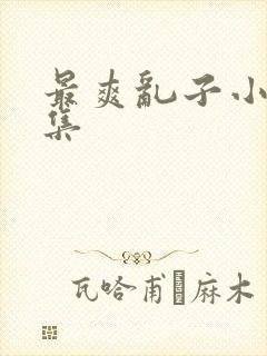 最爽乱子小说合集