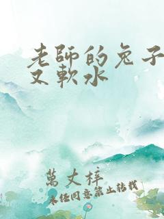 老师的兔子又大又软水