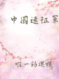 中国远征军小说