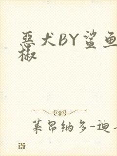 恶犬BY鲨鱼辣椒