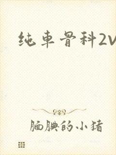 纯车骨科2V1