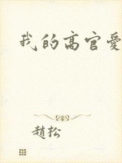 我的高官爱人
