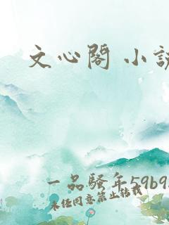 文心阁 小说