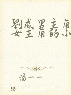 刘成男主角刘雪女主角的小说