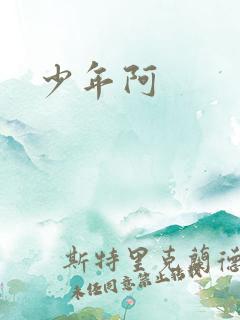 少年阿