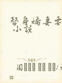 替身娇妻要离婚 小说