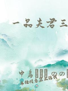 一品夫君三流妻