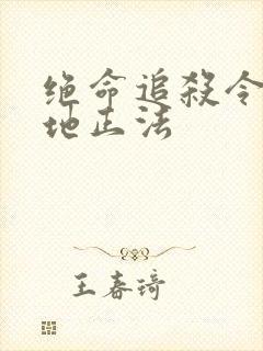 绝命追杀令2就地正法