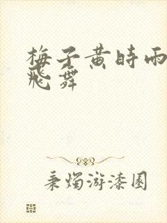 梅子黄时雨流光飞舞