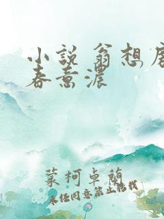 小说 翁想房中春意浓