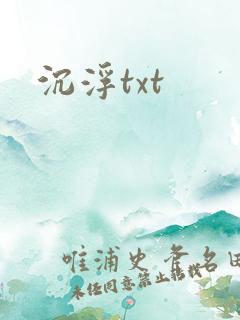 沉浮txt