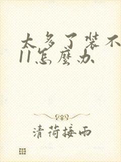 太多了装不下h11怎么办