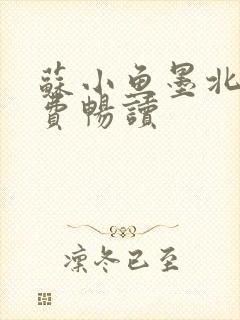 苏小鱼墨北枭免费畅读