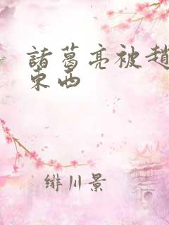 诸葛亮被赵云塞东西